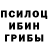 Псилоцибиновые грибы прущие грибы reTRYer